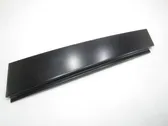 Rear door glass trim molding