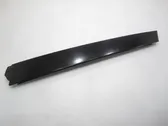 Rear door glass trim molding