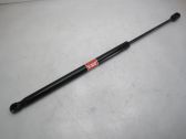 Tailgate/trunk strut/damper