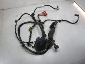 Front door wiring loom