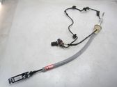 Rear door cable line