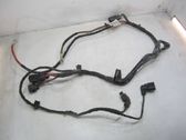 Other wiring loom
