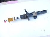 Front shock absorber/damper
