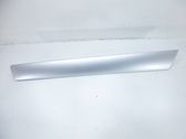 Other rear door trim element