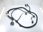 Other wiring loom