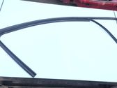 Rubber seal front door (on door)