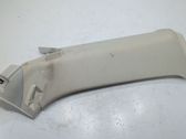 (C) pillar trim