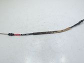 Rear door cable line