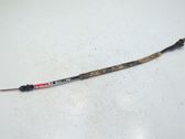 Rear door cable line