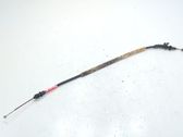 Front door cable line