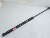 Tailgate/trunk strut/damper