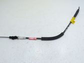 Línea de cable puerta delantera