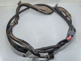 Минусовый провод (аккумулятора)
