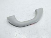 Front interior roof grab handle