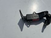 Elektrische Drosselklappe