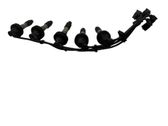 Ignition plug leads