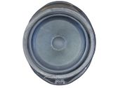 Front door speaker