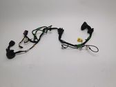 Loading door wiring loom