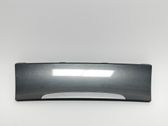 Dashboard trim