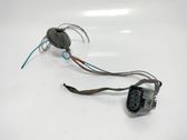 Plug wire