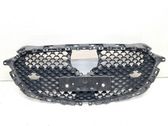 Front bumper upper radiator grill
