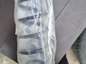 Front coil spring