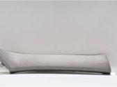 Dashboard trim