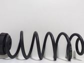 Front coil spring