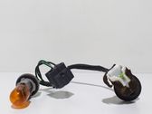 Tail light bulb cover holder