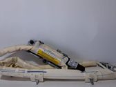 Airbag de la puerta delantera