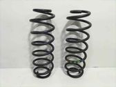 Front coil spring