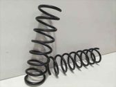 Front coil spring