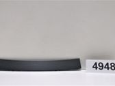Dashboard trim