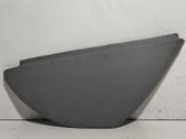 Dashboard trim