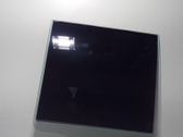 Rear door window glass