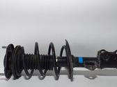 Front shock absorber with coil spring
