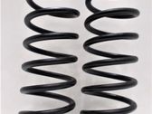 Front coil spring