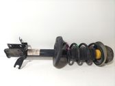 Front shock absorber with coil spring