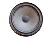 Altavoz de la puerta trasera