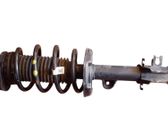 Front shock absorber with coil spring