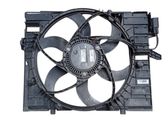Electric radiator cooling fan