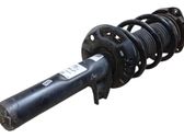 Front shock absorber/damper