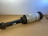 Front shock absorber/damper