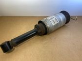 Front shock absorber/damper