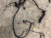 Front door wiring loom