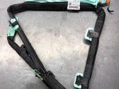 Roof airbag