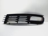 Front fog light trim/grill