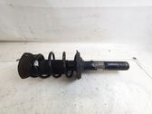 Front shock absorber with coil spring