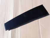 Door glass trim