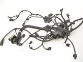Other wiring loom
